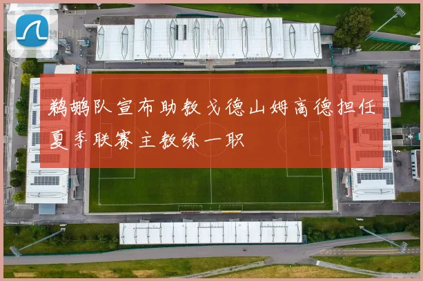 鹈鹕队宣布助教戈德山姆高德担任夏季联赛主教练一职